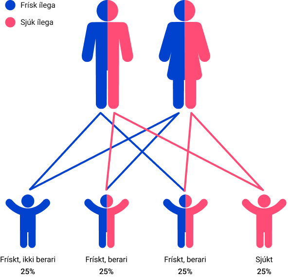 Inheritance pattern example 1