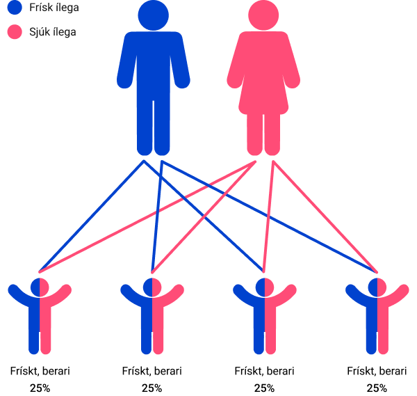 Inheritance pattern example 2
