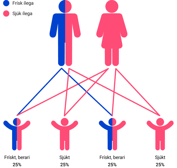 Inheritance pattern example 2