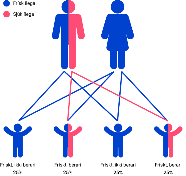 Inheritance pattern example 2