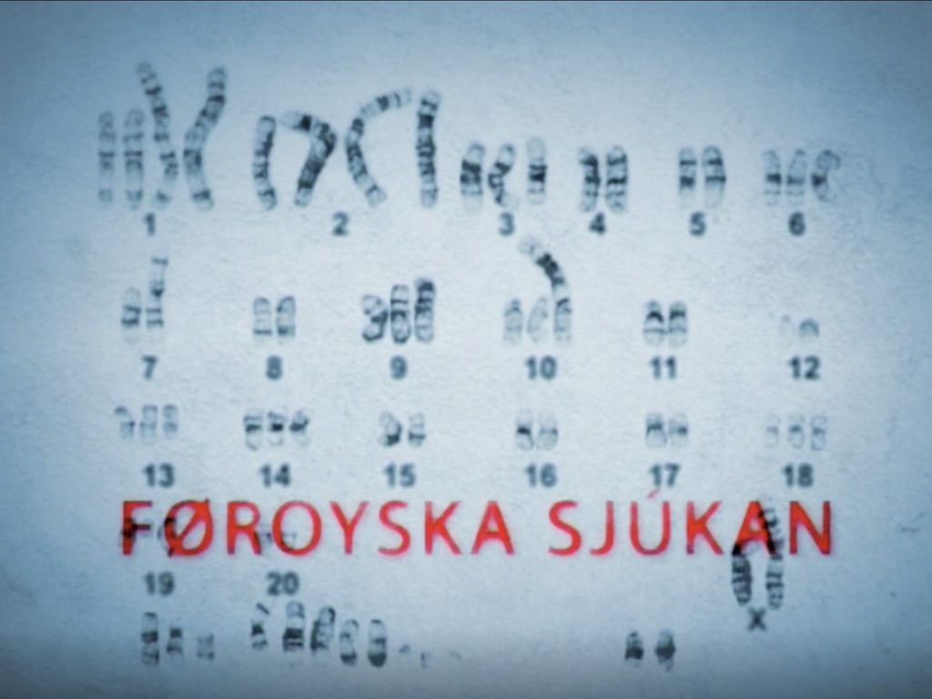 Mynd av dokumentari